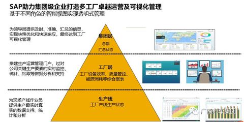 SAP变革旋风来袭 智慧企业时代的品牌管理新范式