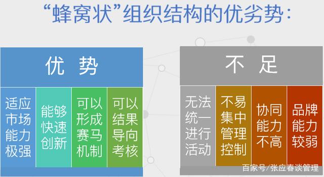 张应春谈管理 工厂常见的5种组织结构分析，你的企业属于哪一种？